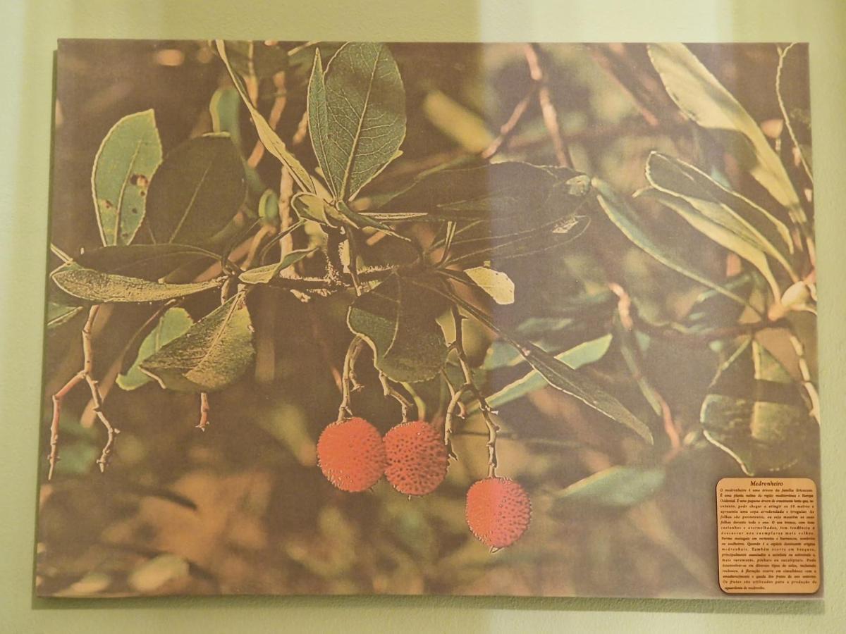 D'Aqui E D'Acola - Pardieiros ภายนอก รูปภาพ