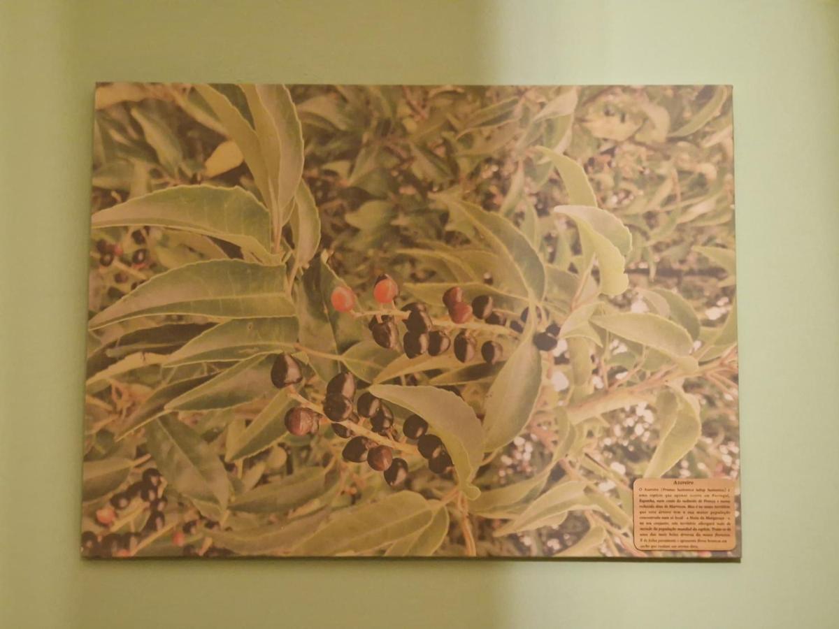 D'Aqui E D'Acola - Pardieiros ภายนอก รูปภาพ